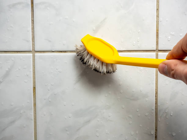 Best Home Mold Removal  in Hermosa Beach, CA