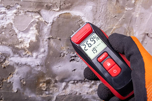 Best Mold Testing  in Hermosa Beach, CA